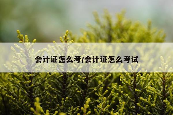 会计证怎么考/会计证怎么考试