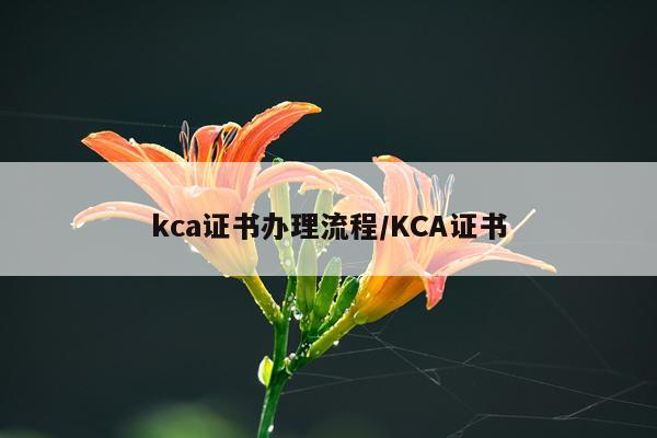 kca证书办理流程/KCA证书