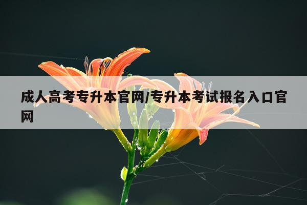 成人高考专升本官网/专升本考试报名入口官网