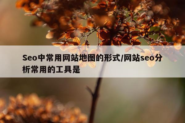 Seo中常用网站地图的形式/网站seo分析常用的工具是