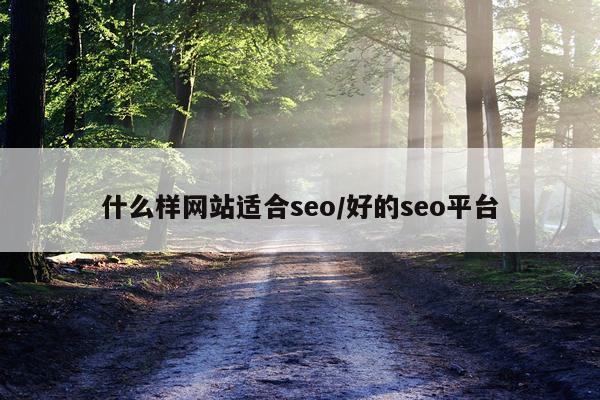 什么样网站适合seo/好的seo平台