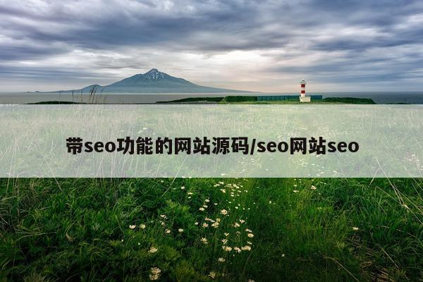 带seo功能的网站源码/seo网站seo