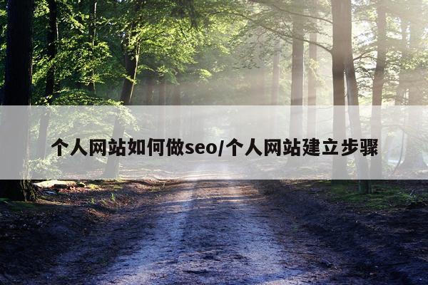 个人网站如何做seo/个人网站建立步骤