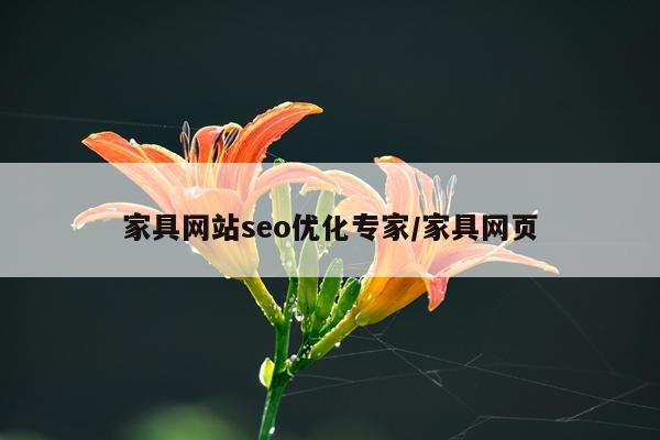 家具网站seo优化专家/家具网页