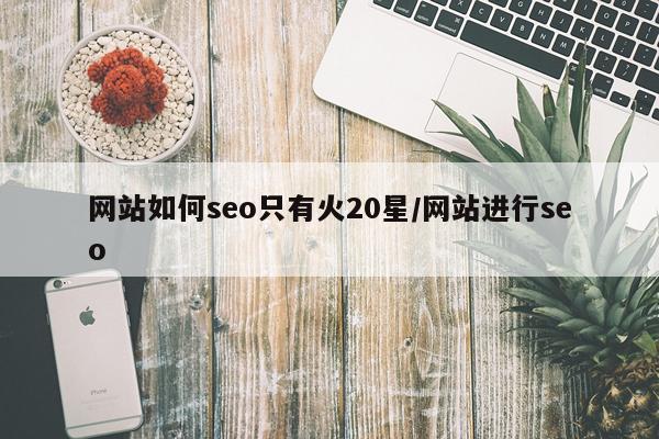 网站如何seo只有火20星/网站进行seo