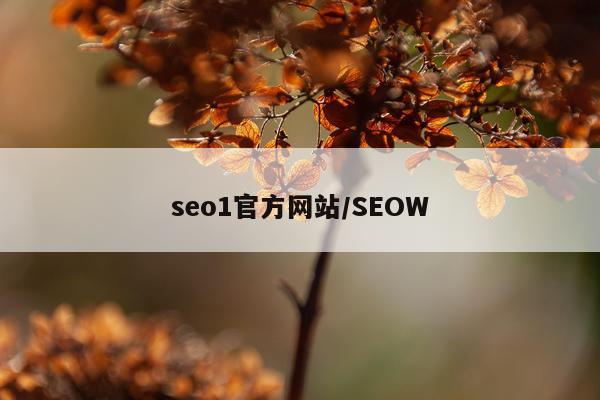 seo1官方网站/SEOW