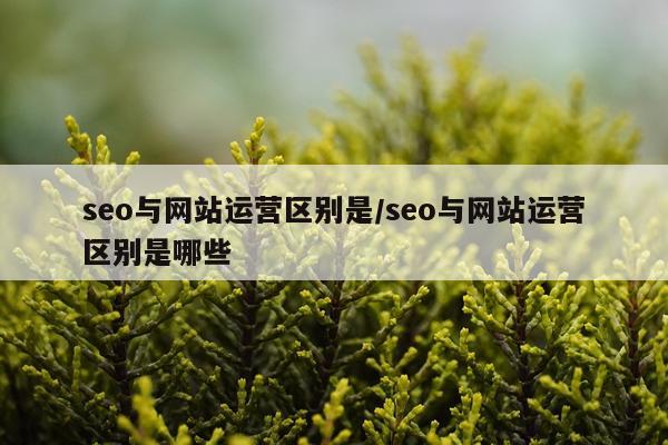 seo与网站运营区别是/seo与网站运营区别是哪些