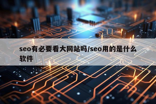 seo有必要看大网站吗/seo用的是什么软件