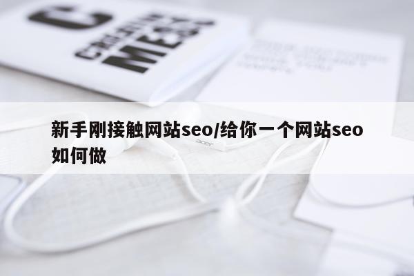 新手刚接触网站seo/给你一个网站seo如何做