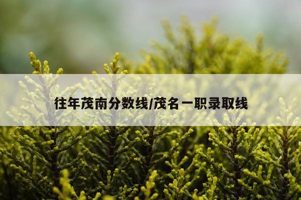 往年茂南分数线/茂名一职录取线