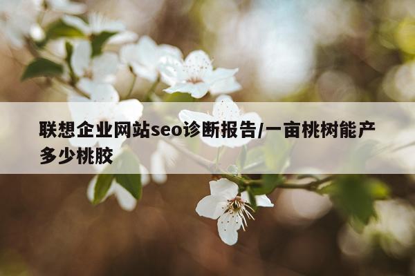联想企业网站seo诊断报告/一亩桃树能产多少桃胶