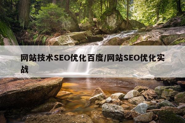 网站技术SEO优化百度/网站SEO优化实战