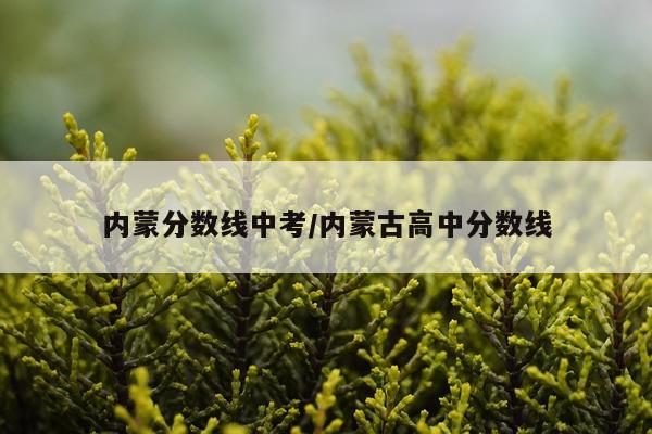 内蒙分数线中考/内蒙古高中分数线