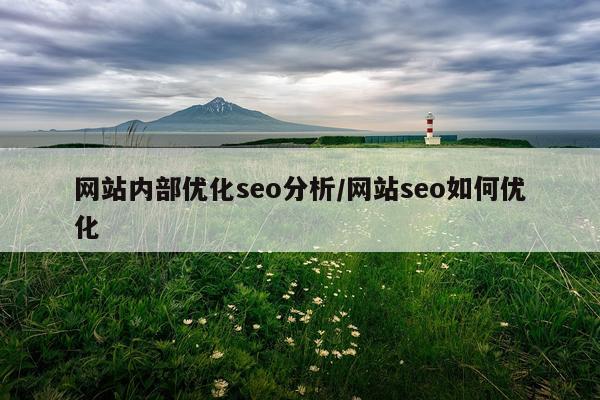 网站内部优化seo分析/网站seo如何优化