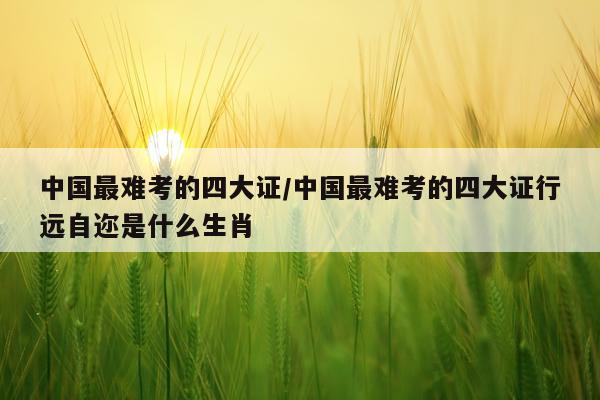 中国最难考的四大证/中国最难考的四大证行远自迩是什么生肖