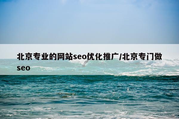 北京专业的网站seo优化推广/北京专门做seo