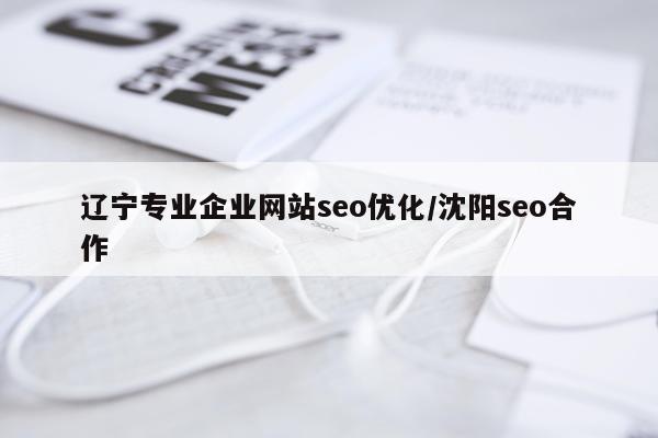 辽宁专业企业网站seo优化/沈阳seo合作
