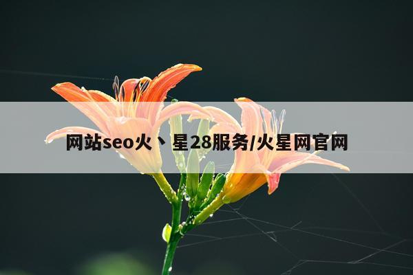 网站seo火丶星28服务/火星网官网