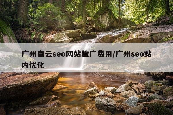 广州白云seo网站推广费用/广州seo站内优化