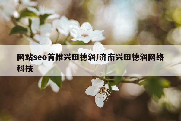 网站seo首推兴田德润/济南兴田德润网络科技