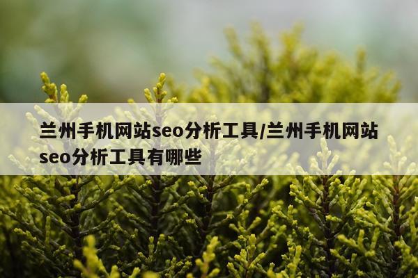 兰州手机网站seo分析工具/兰州手机网站seo分析工具有哪些