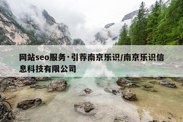网站seo服务·引荐南京乐识/南京乐识信息科技有限公司
