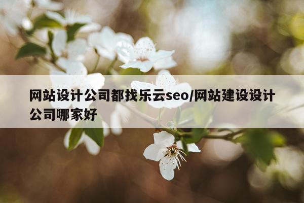 网站设计公司都找乐云seo/网站建设设计公司哪家好