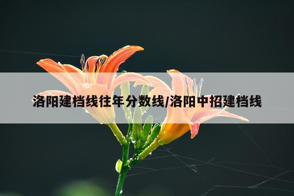 洛阳建档线往年分数线/洛阳中招建档线