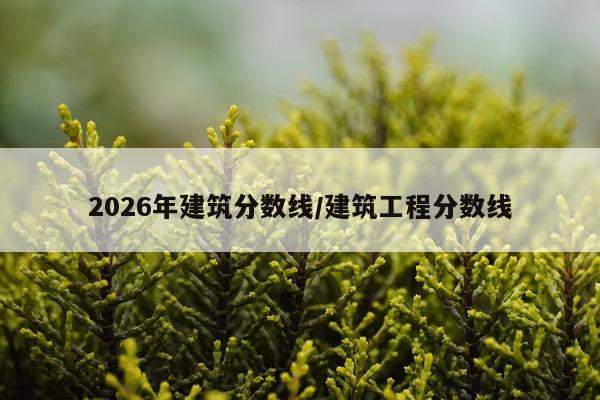 2026年建筑分数线/建筑工程分数线