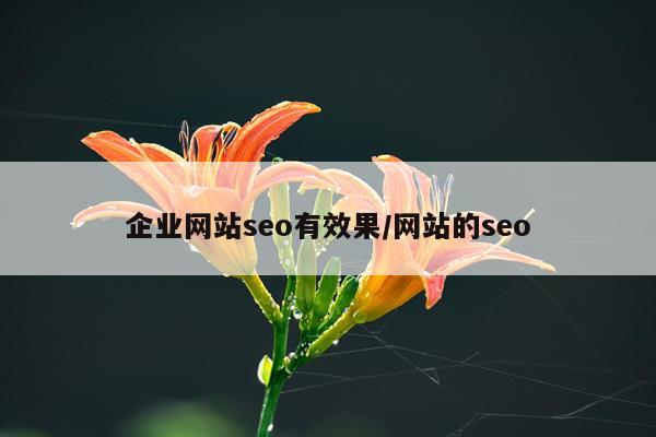 企业网站seo有效果/网站的seo