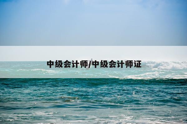 中级会计师/中级会计师证