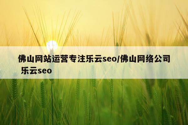 佛山网站运营专注乐云seo/佛山网络公司 乐云seo