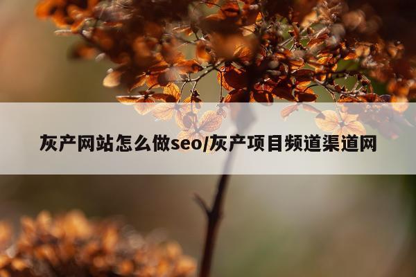 灰产网站怎么做seo/灰产项目频道渠道网