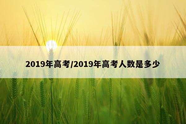 2019年高考/2019年高考人数是多少