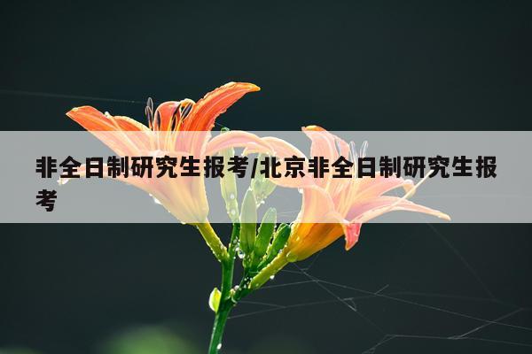 非全日制研究生报考/北京非全日制研究生报考