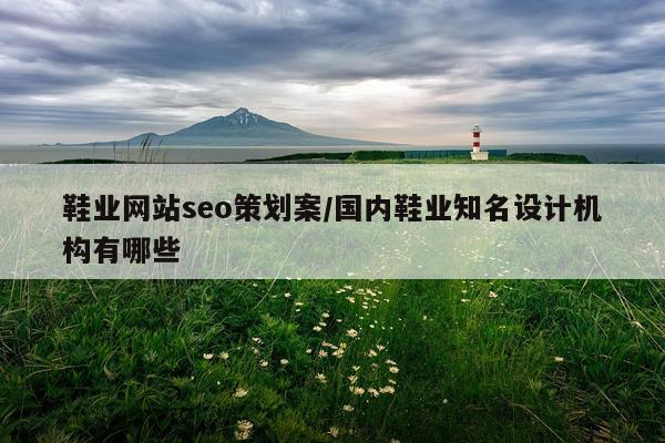 鞋业网站seo策划案/国内鞋业知名设计机构有哪些