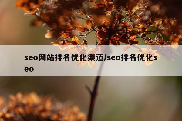 seo网站排名优化渠道/seo排名优化seo