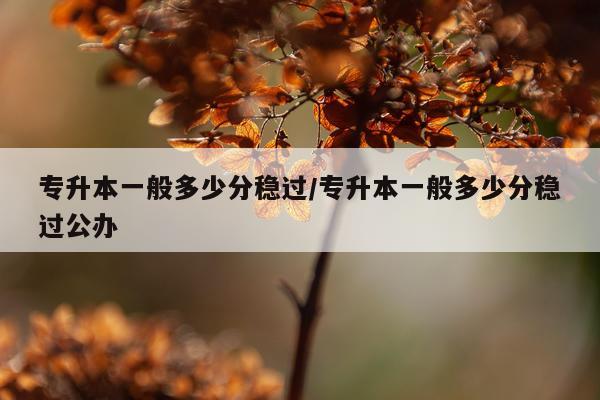 专升本一般多少分稳过/专升本一般多少分稳过公办