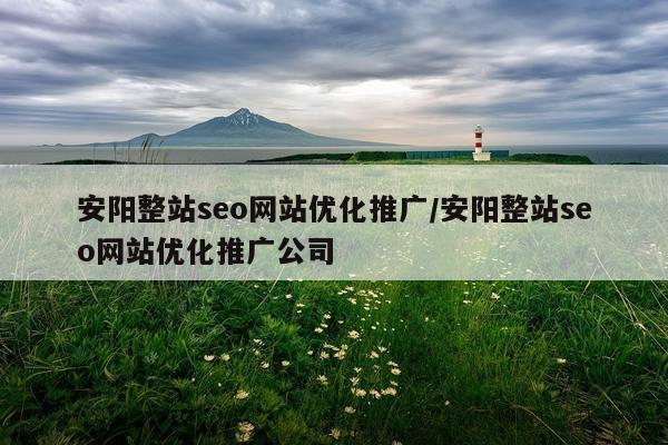 安阳整站seo网站优化推广/安阳整站seo网站优化推广公司