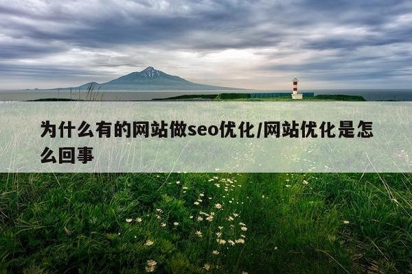 为什么有的网站做seo优化/网站优化是怎么回事