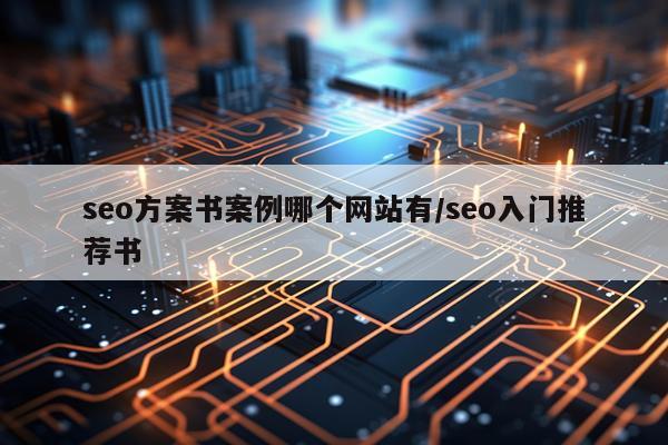 seo方案书案例哪个网站有/seo入门推荐书