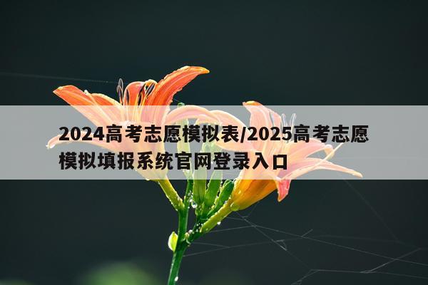 2024高考志愿模拟表/2025高考志愿模拟填报系统官网登录入口