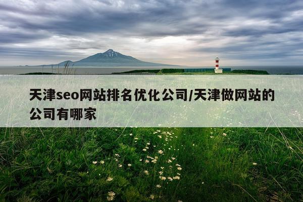 天津seo网站排名优化公司/天津做网站的公司有哪家