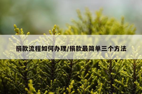 捐款流程如何办理/捐款最简单三个方法