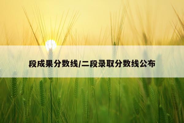 段成果分数线/二段录取分数线公布