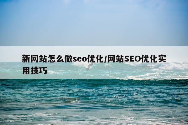 新网站怎么做seo优化/网站SEO优化实用技巧