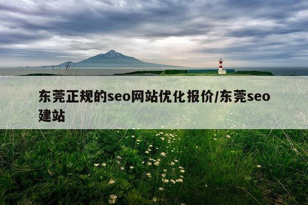 东莞正规的seo网站优化报价/东莞seo建站