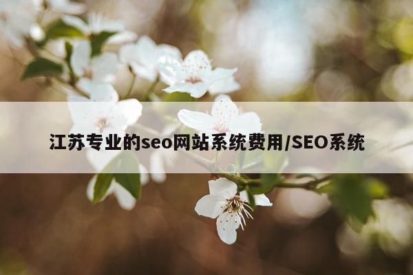 江苏专业的seo网站系统费用/SEO系统