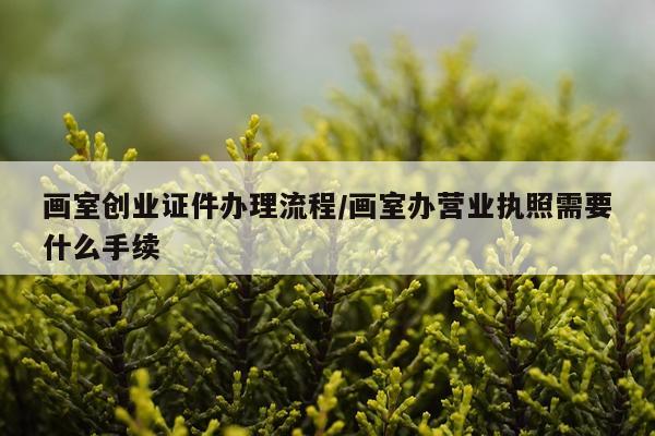 画室创业证件办理流程/画室办营业执照需要什么手续