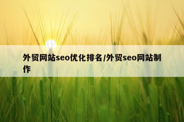 外贸网站seo优化排名/外贸seo网站制作
